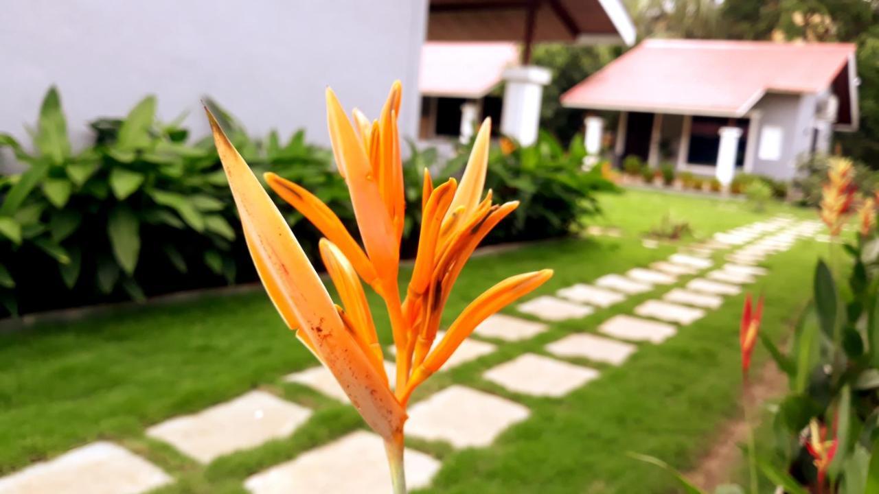 Arcadia Resort Alibaug Alībāg Eksteriør bilde